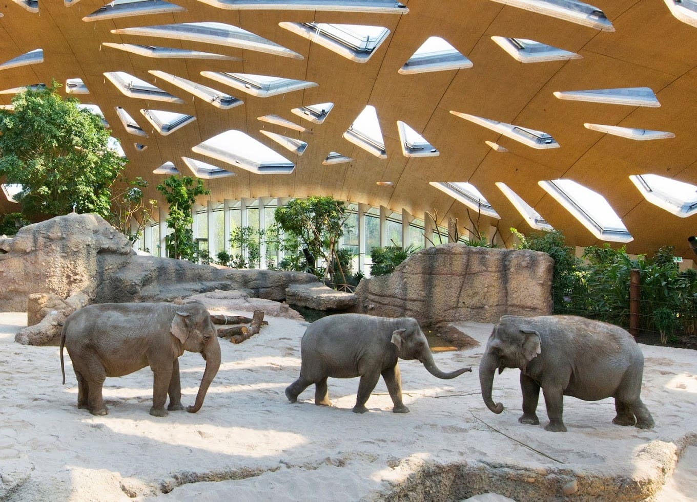 Zoo Zurich