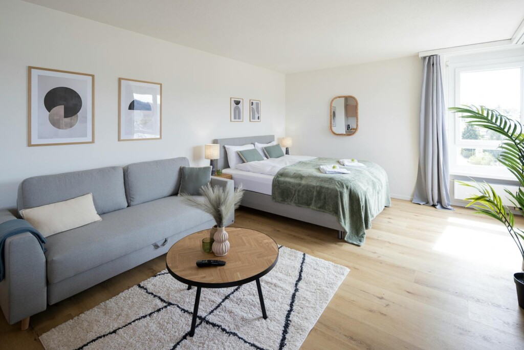 Studio apartment with sofa and bed at STAYY Sky Studio in Schlieren